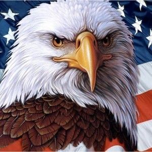 Meet your Posher, Edward